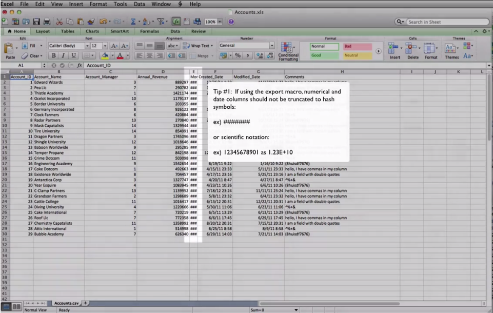 Accounts.xls file on excel - ensuring all columns are visible